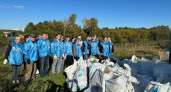 Во Владимирской области активисты расчистили 72 км береговой линии от мусора