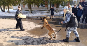 В Ставровскую школу пожаловали кинологи с собаками