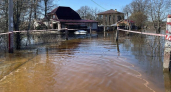 Во Владимирской области реки вскрылись ранее прогноза метеорологов
