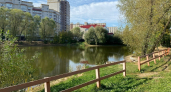 Мальки в Соловьином пруду во Владимире не выдержали погодных условий
